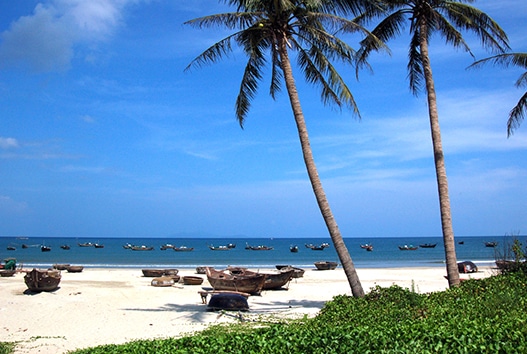 Palm trees lining against beautiful shoreline of Danang Beach. International living under 1K